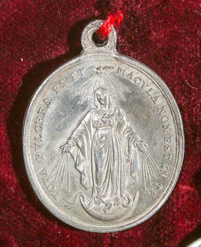 Bottega romana (1853), Medaglia di Papa Pio IX