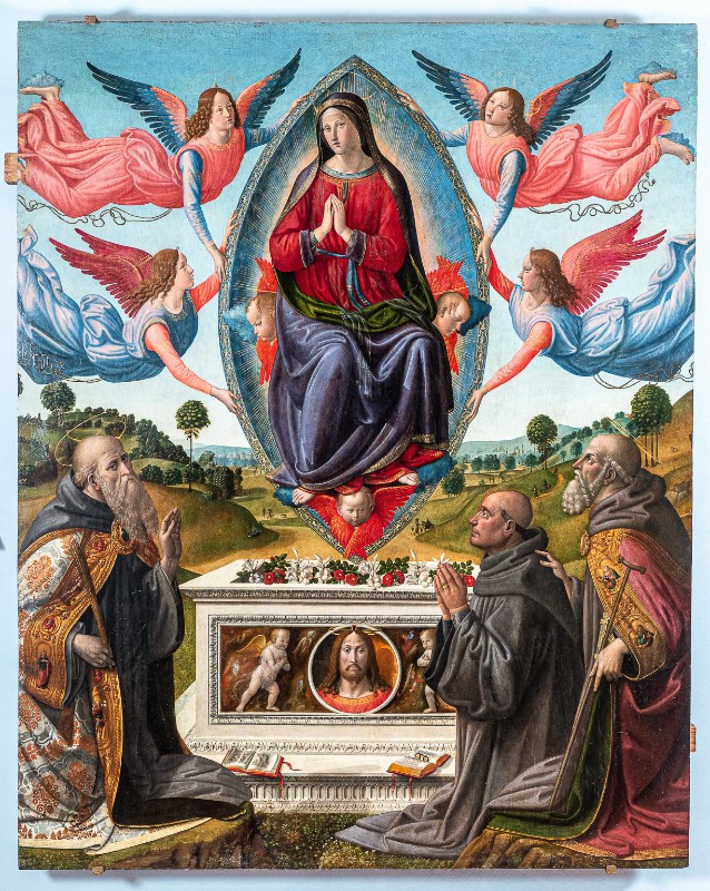 Rosselli Cosimo sec. XVI, Madonna assunta con santi