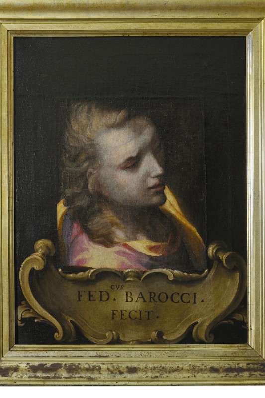 Barocci Federico (1579), Testa di giovane