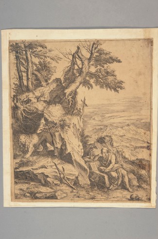 Cort C. (1565), S. Girolamo penitente nel deserto