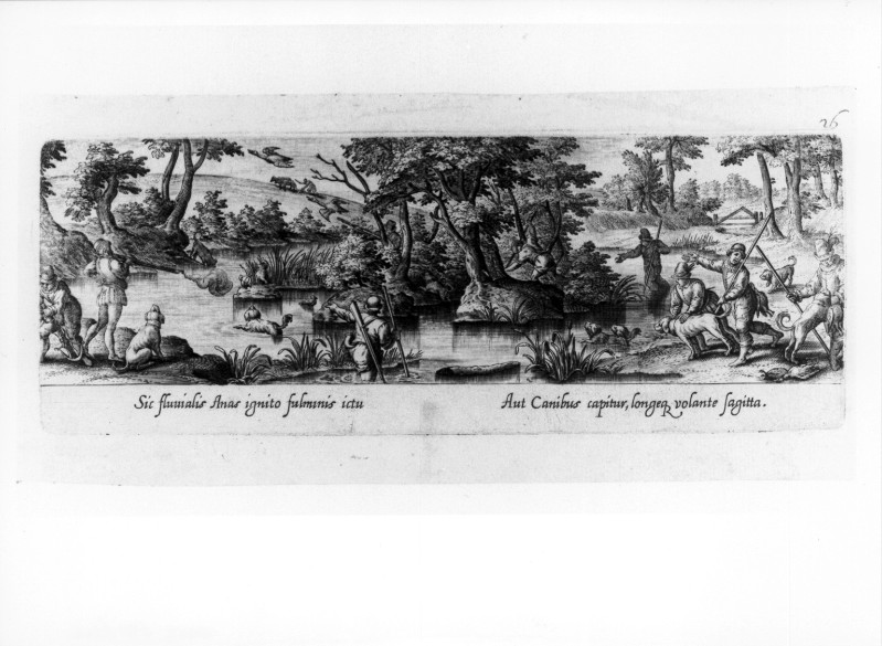 Galle P. (1582), Caccia alle anatre selvatiche con cani e fucili