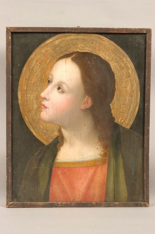 Ambito marchigiano (?) (1503 ante), S. Giovanni Evangelista