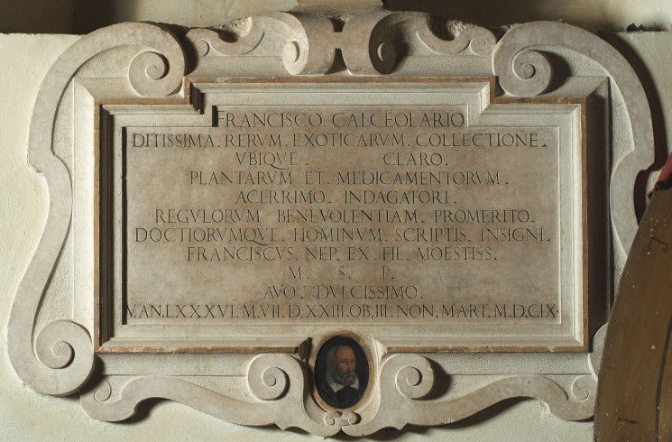 Bott. veronese (1609), Memoria funebre di Giacomo Calceolari