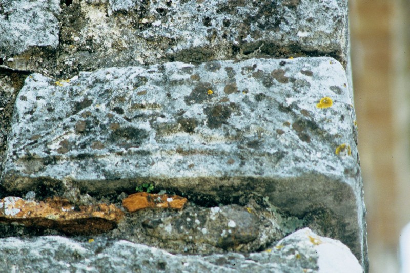Ambito veneto secc. VII-XII, Pietra con due pavoni