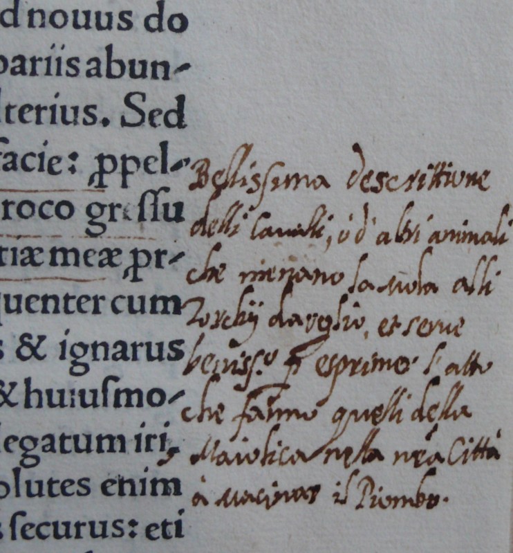 Commento manoscritto a inchiostro bruno a margine del testo a stampa