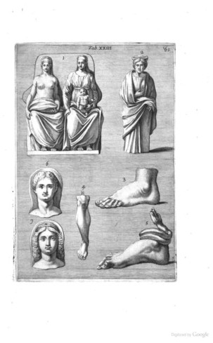 Ilustrazione dal secondo catalogo del museo del 1709