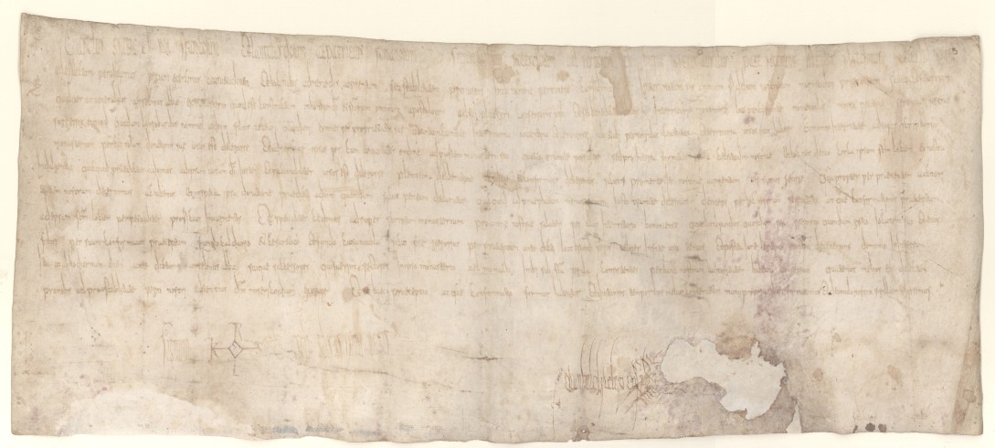  Carlo Magno e le concessioni all'abate Anselmo.
Archivio Abbaziale di Nonantola, Pergamene, I.8, 780 luglio 28, Lippsringe. 