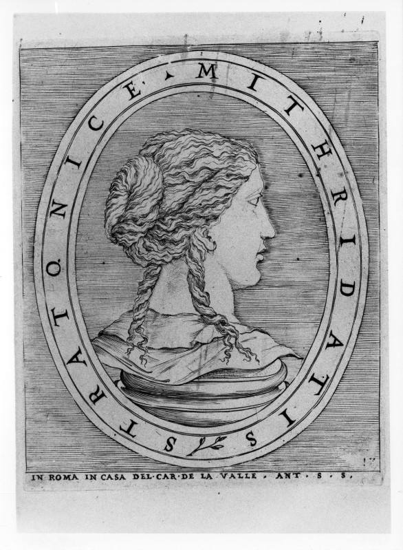 Ambito romano sec. XVI, Gemma con profilo di Stratonice