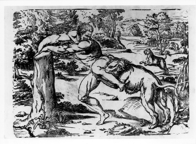 Da Carpi U. (1520-1530), Morte di Milone da Crotone 1/2