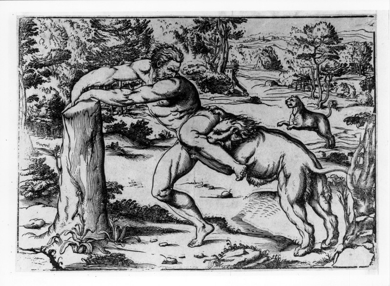Da Carpi U. (1520-1530), Morte di Milone da Crotone 2/2