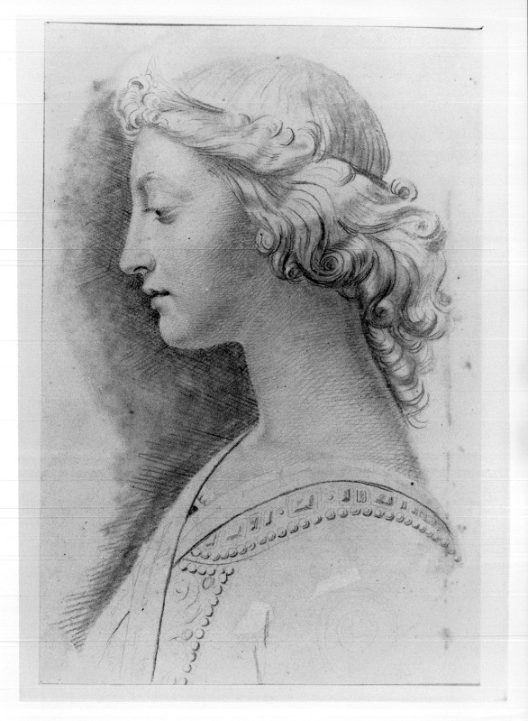 Campochiesa L. secc. XIX-XX, Studio di figura di profilo