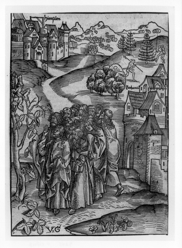 Graf U. il Vecchio (1507 circa), Maledizione del fico sterile