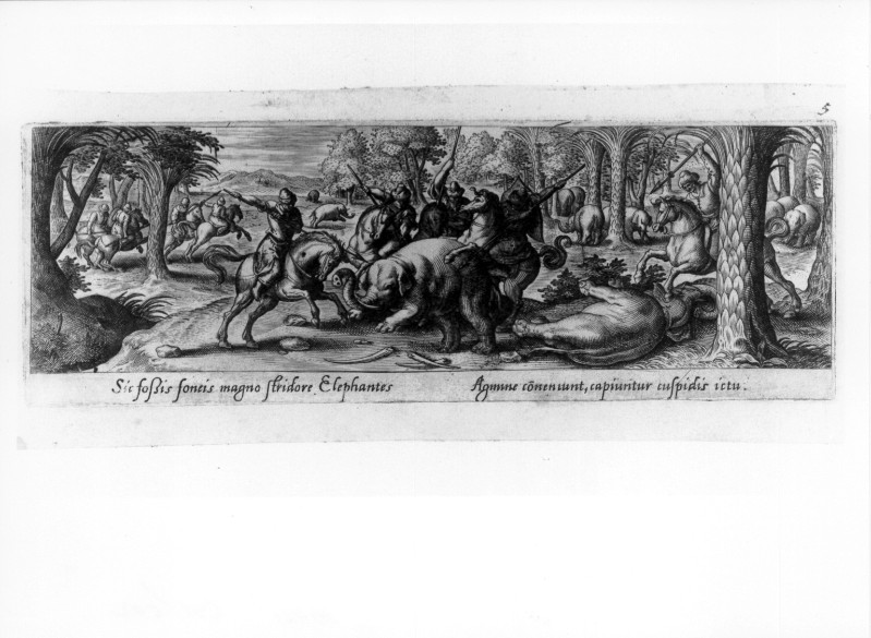 Galle P. (1582), Caccia all'elefante