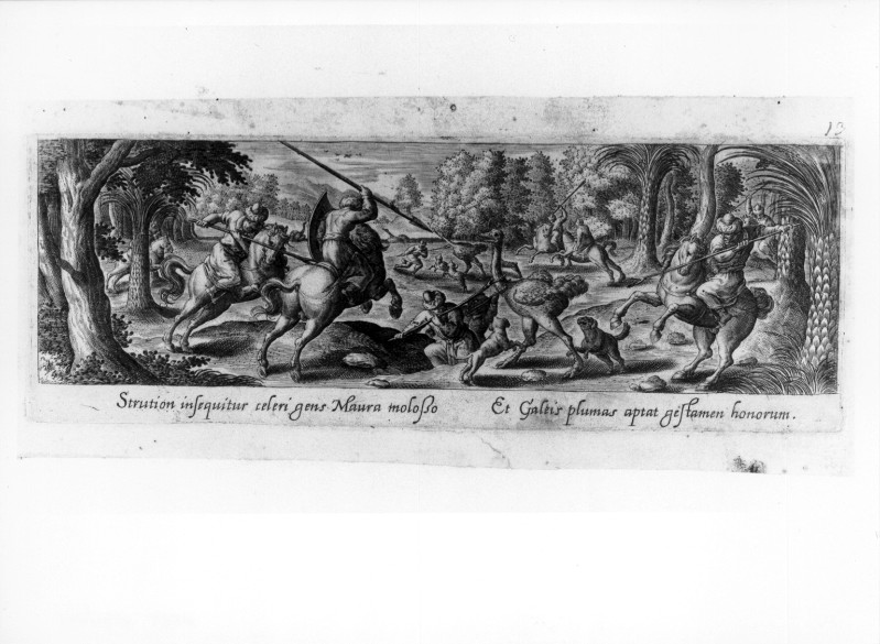 Galle P. (1582), Caccia allo struzzo