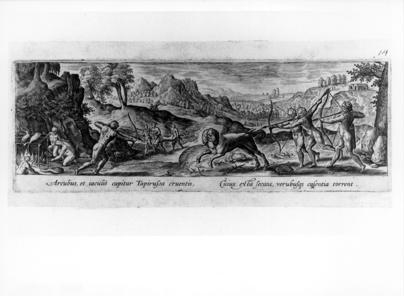 Galle P. (1582), Caccia al tapirussa