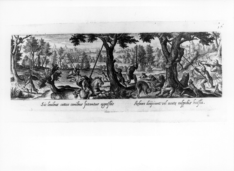 Galle P. (1582), Caccia al gatto selvatico