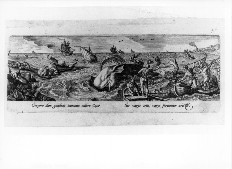 Galle P. (1582), Caccia alla balena