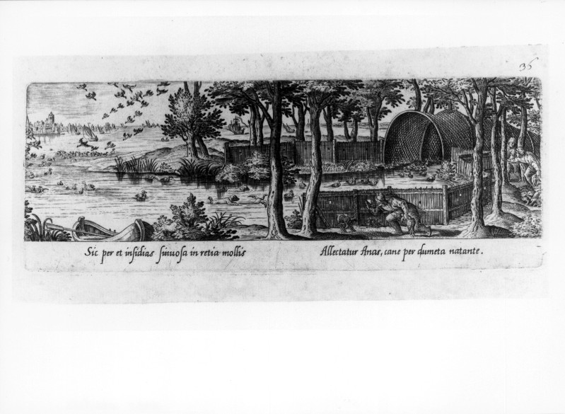 Galle P. (1582), Caccia alle anatre con cani e grande stia