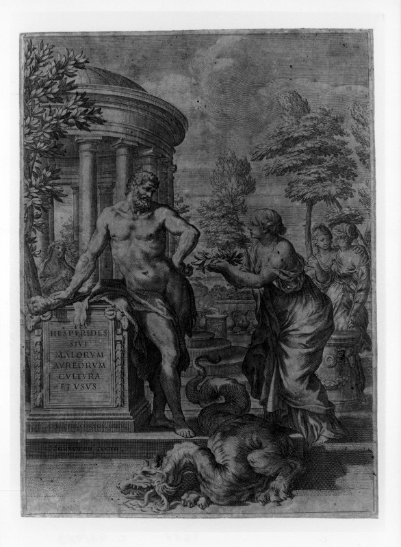 Greuter J. F. (ante 1646), Ercole nel giardino delle Esperidi