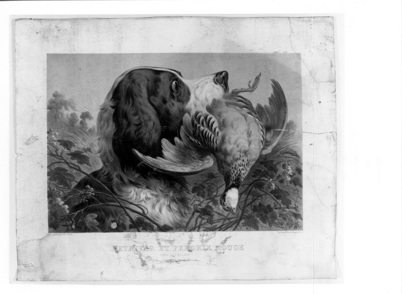 Adam A. seconda metà sec. XIX, Cane da caccia con pernice in bocca
