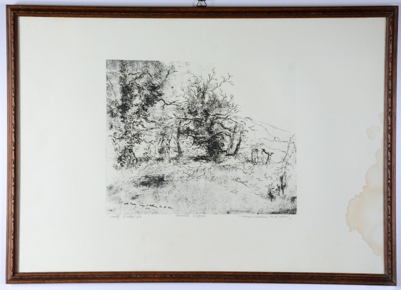 Piacesi W. (1972), Lungo il Metauro tra gli alberi