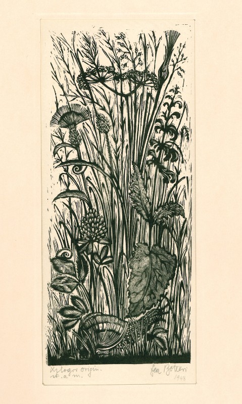 Botteri L. (1948), Fiori di campo con chiocciola