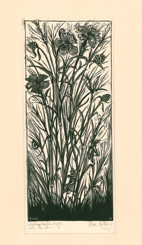 Botteri L. (1949), Fori di campo con garofani e grilli