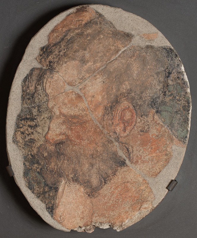 Farinati P. sec. XVI, Testa di uomo barbuto