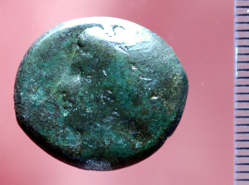 Ambito siracusano (274 - 216 a. C.), Bronzo 2/2