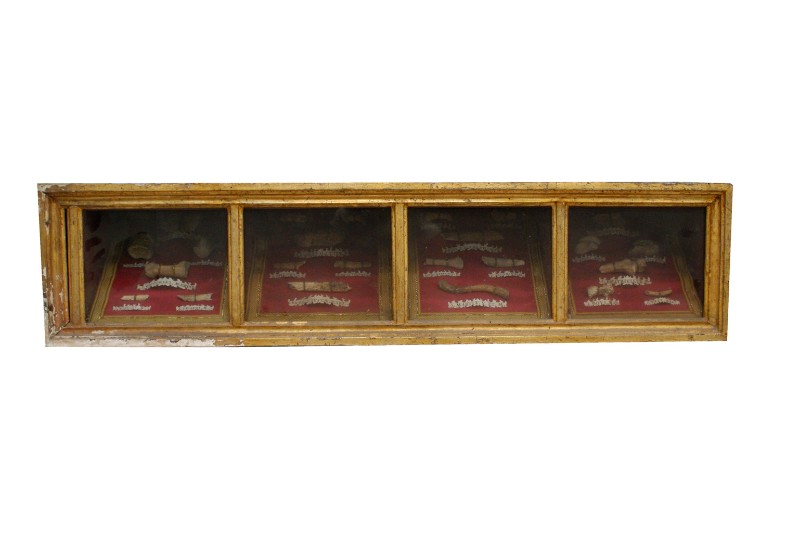 Bott. toscana sec. XVIII, Reliquiario a teca in legno dorato