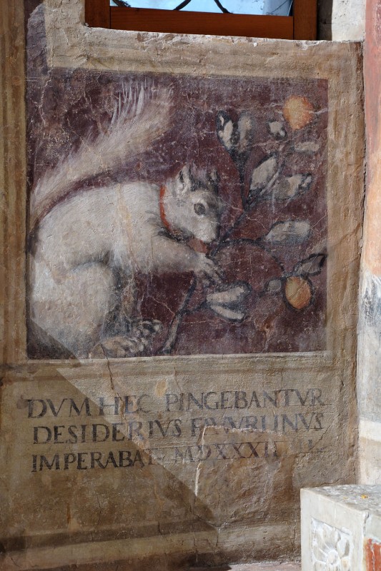 Amalteo P. (1532), Scoiattolo con fiore