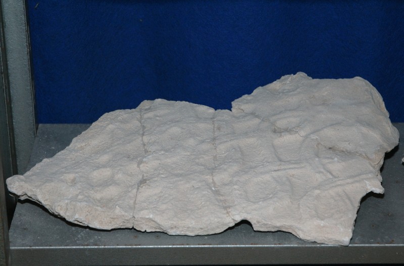 Stuccatore dell'Italia meridionale sec. VIII - IX, Frammento di stucco grande