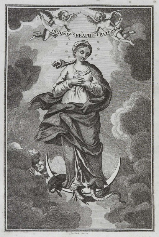 Contarini sec. XIX, Madonna Immacolata