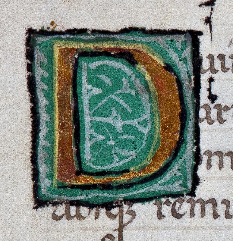 Ambito fiorentino sec. XVI, Miniatura con lettera D in oro con sfondo verde