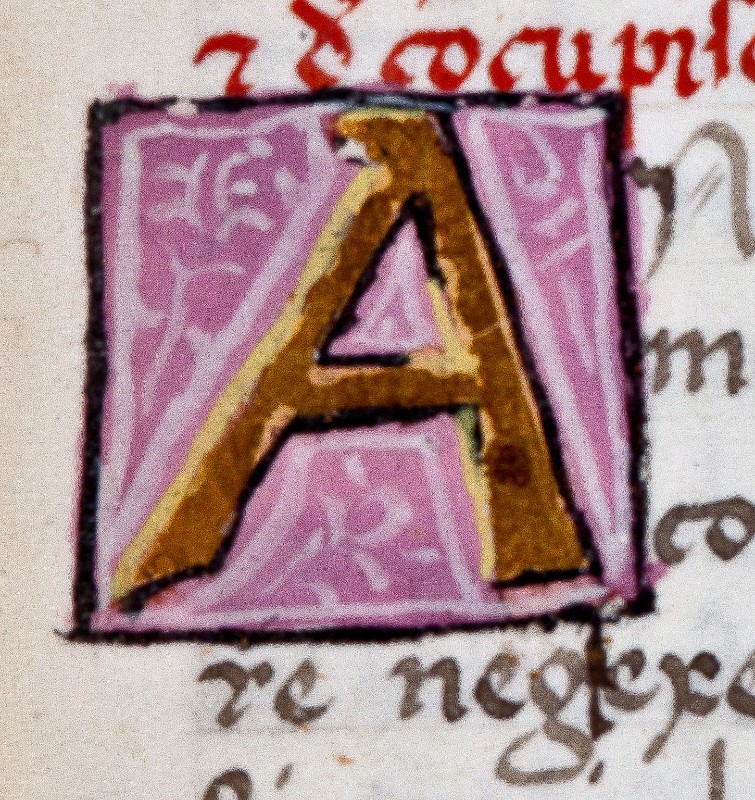 Ambito fiorentino sec. XVI, Miniatura con lettera A in oro con sfondo rosa