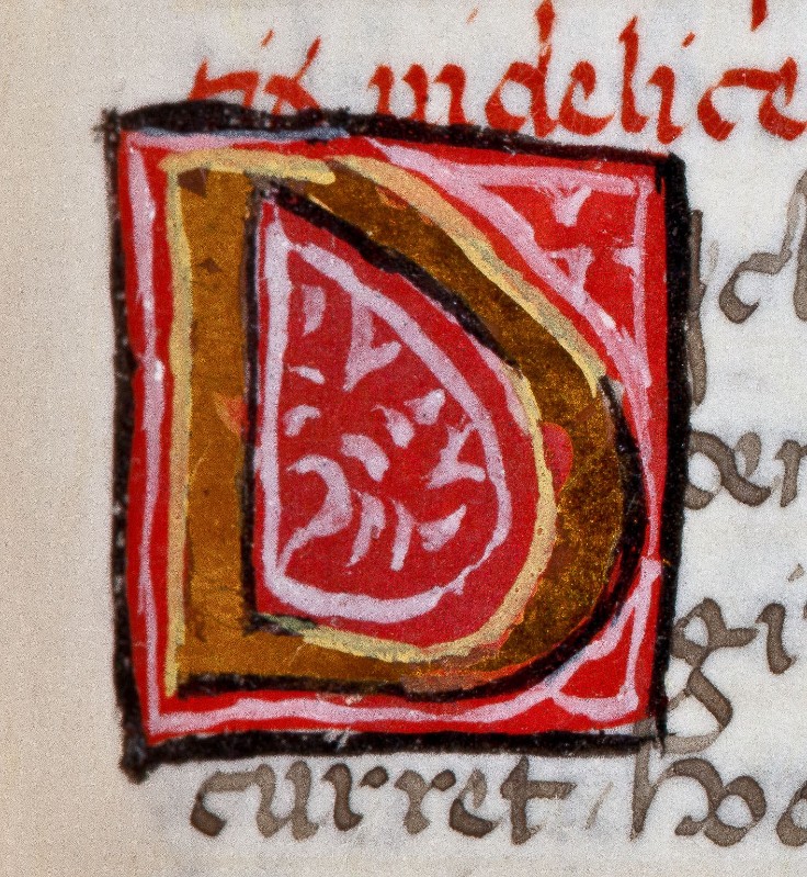 Ambito fiorentino sec. XVI, Miniatura con lettera D in oro con sfondo rosso