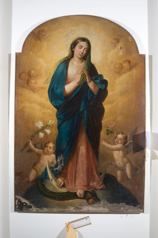 Ambito napoletano metà sec. XIX, Madonna immacolata in olio su tela