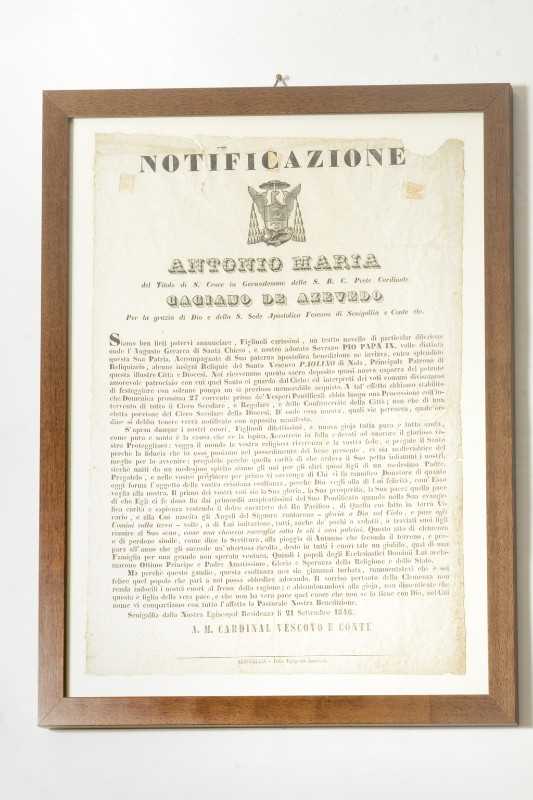 Produzione senigalliese (1846), Pio IX dona le reliquie di San Paolino da Nola