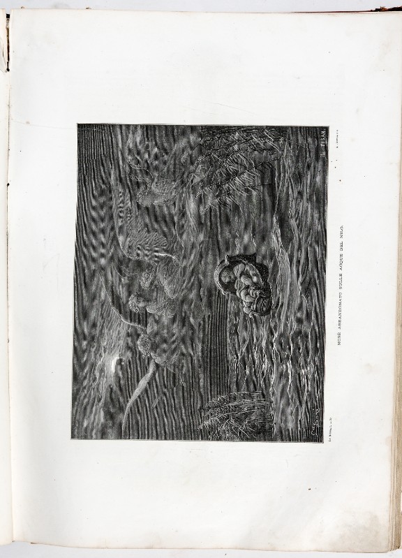Doré G. (1864), Stampa con Mosè abbandonato sulle acque del Nilo