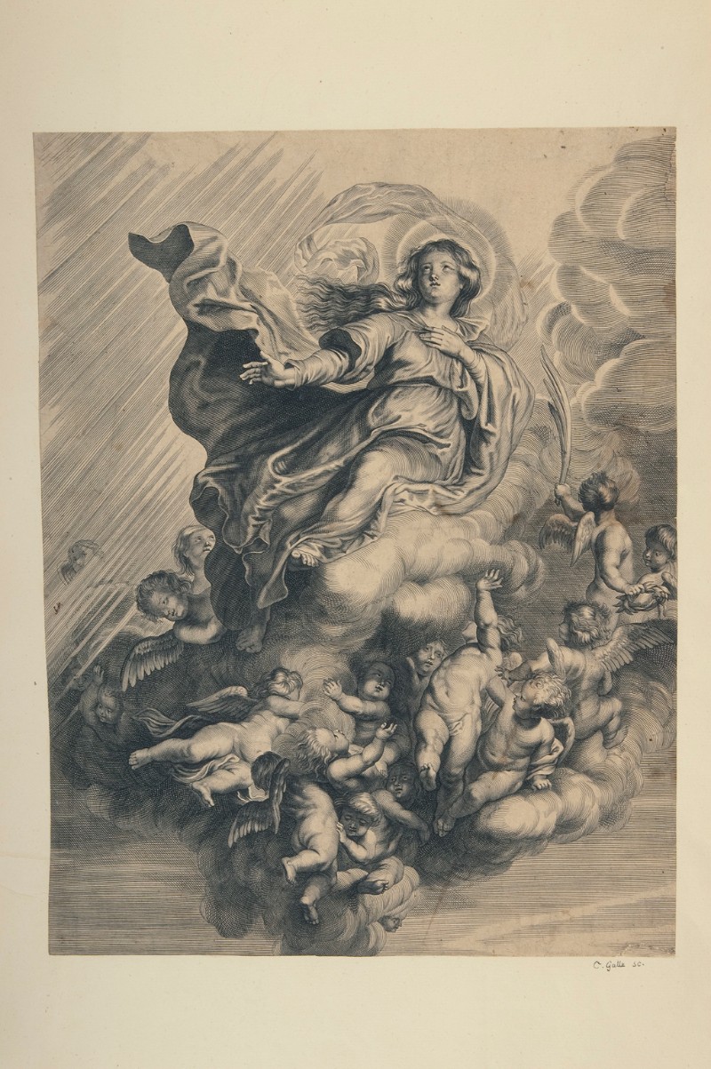 Attribuito a Galle C. seconda metà sec. XVII, Madonna Assunta