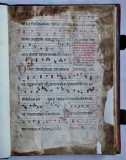 Scriptorium padovano sec. XIV-XV, Antifonario D