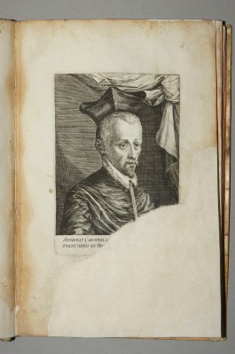 Custos D. (?) sec. XVI-XVII, Ritratto di cardinale