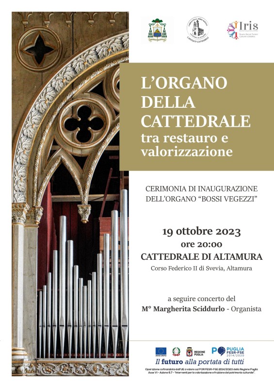 L'organo della Cattedrale